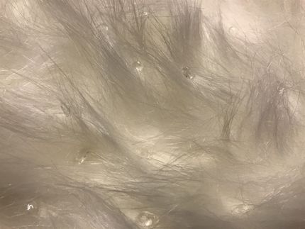 Détail avec incrustation de cristaux de roche
