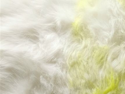Cliquez sur l'image pour la visualiser entièrement